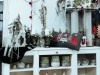 IMG_20231125_162227